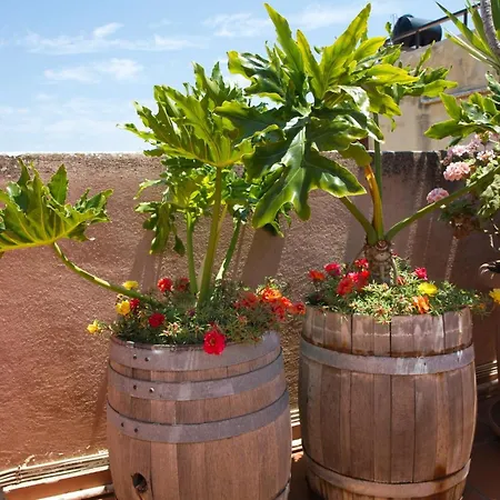 Guest house Eva Chania (Crete)