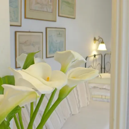 πανσιόν εύα